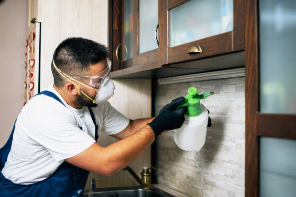 Best Rat Extermination Near Me  in Constantine, MI