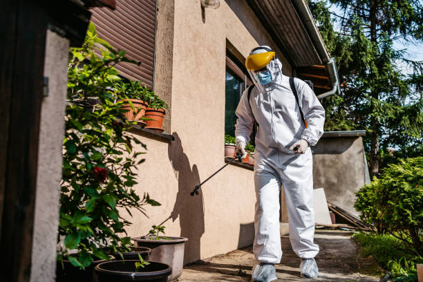 Best Pest Control for Restaurants  in Constantine, MI