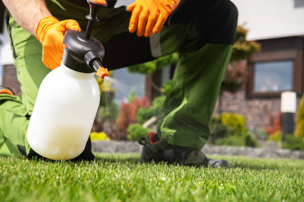 Best Emergency Pest Control  in Constantine, MI