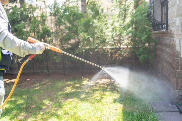 Best Mosquito Control Services  in Constantine, MI