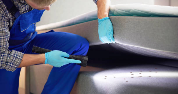 Trusted Constantine, MI Pest Control Experts