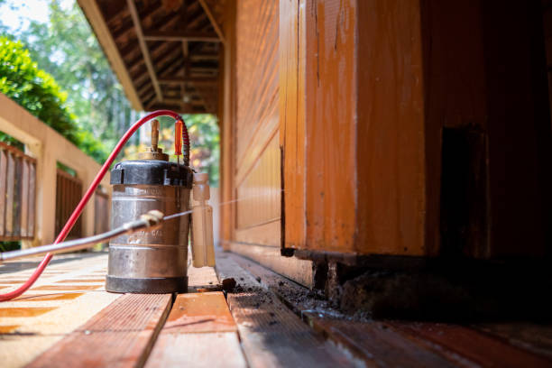 Best Ant Control Services  in Constantine, MI