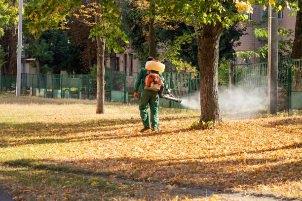 Best Cockroach Control Services  in Constantine, MI