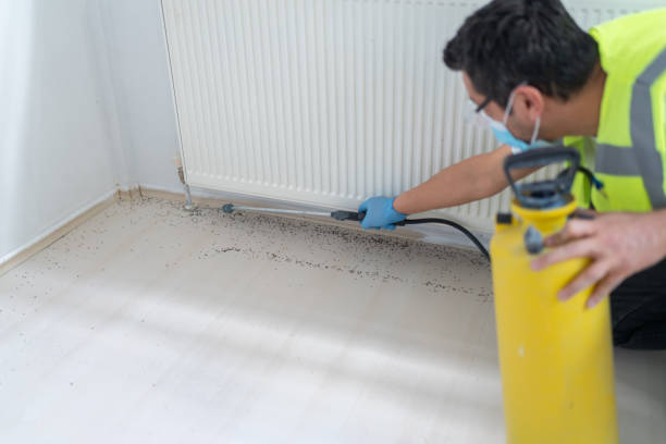 Best Commercial Pest Control Services  in Constantine, MI