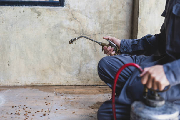 Best Affordable Pest Control Services  in Constantine, MI